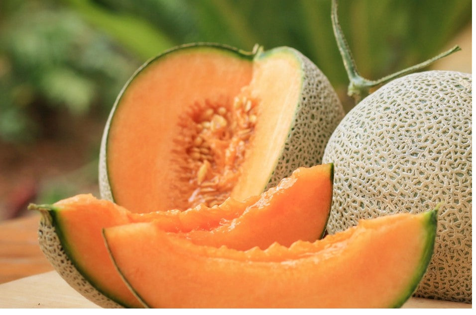 Cantaloupe
