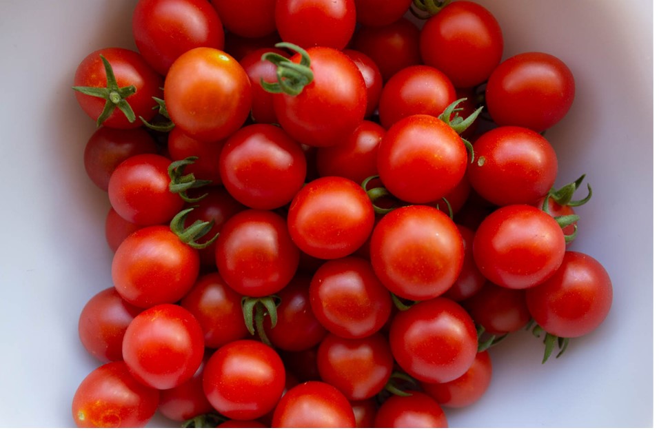 Cherry Tomato