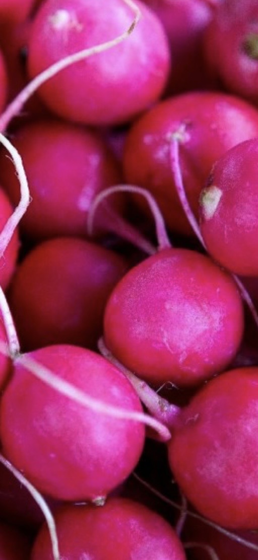 Fresh Radish