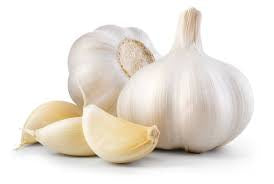 Fresh Garlic
