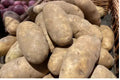 Potato