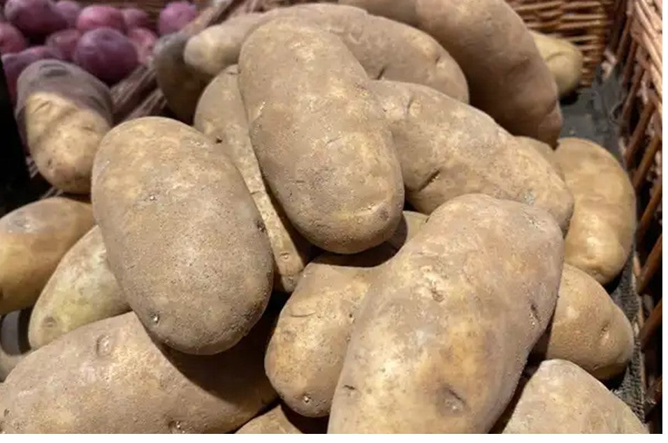Potato