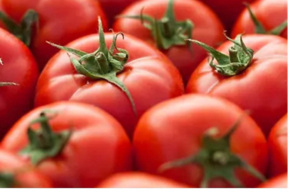 Tomato