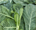 Collard Greens
