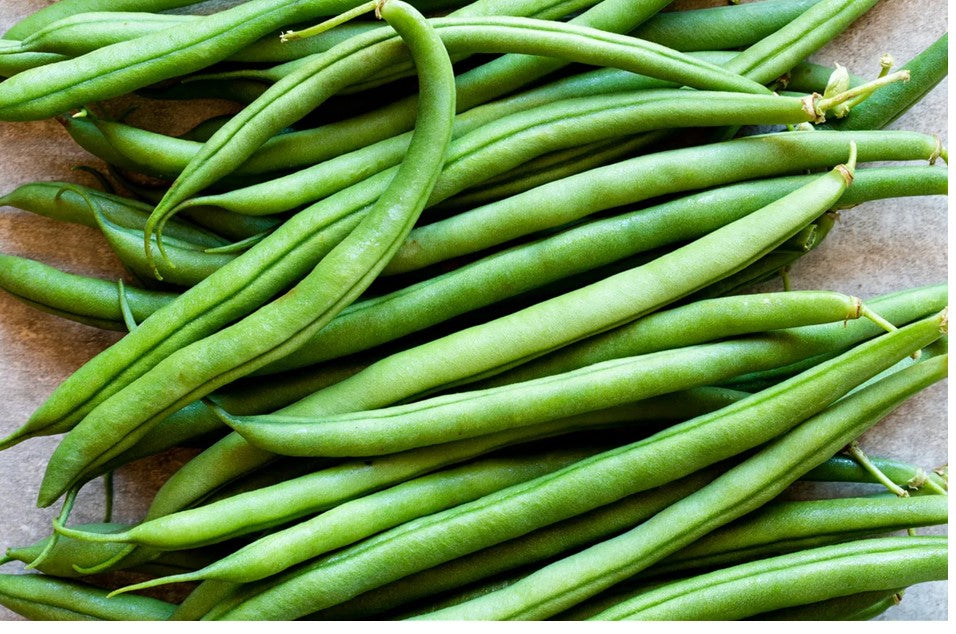Fresh Green Bean