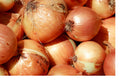 Onion