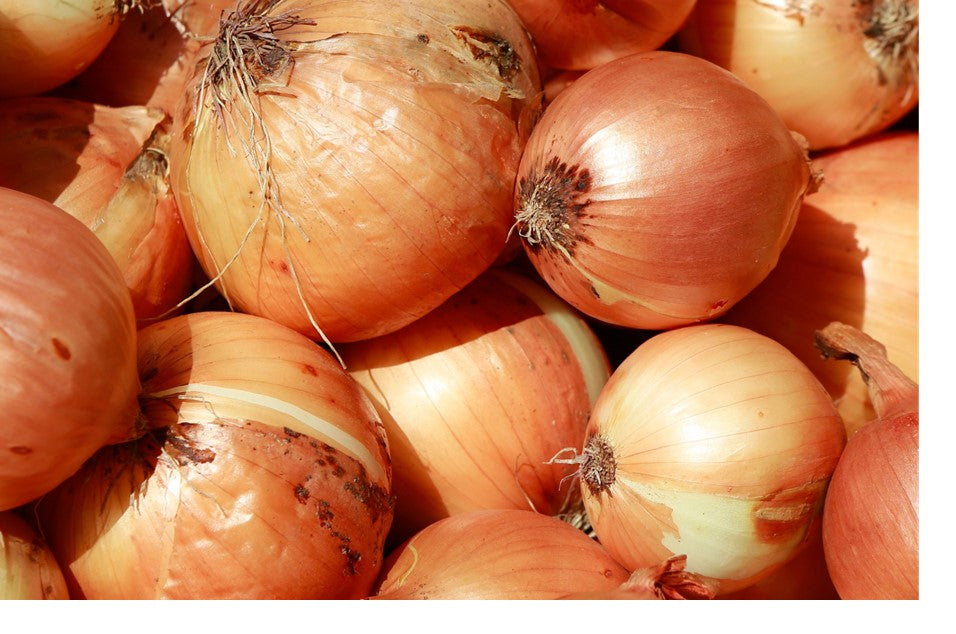 Onion
