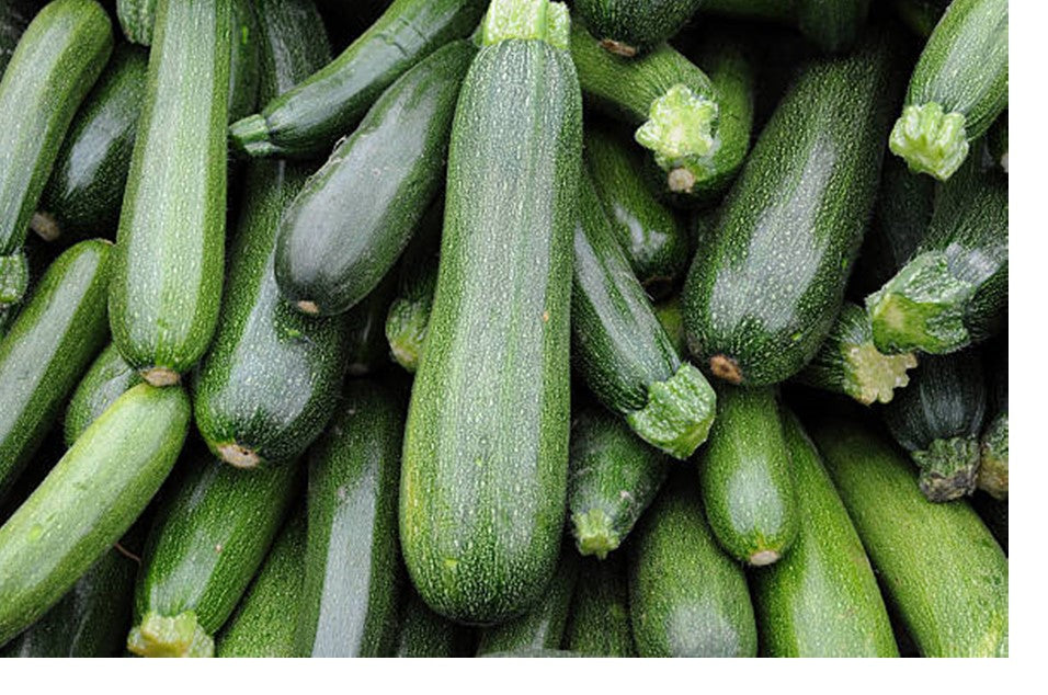 Zucchini
